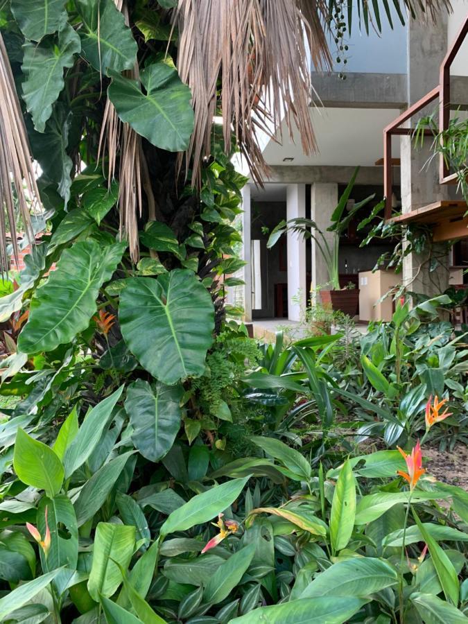 Vila Das Aguas Atins Exterior foto